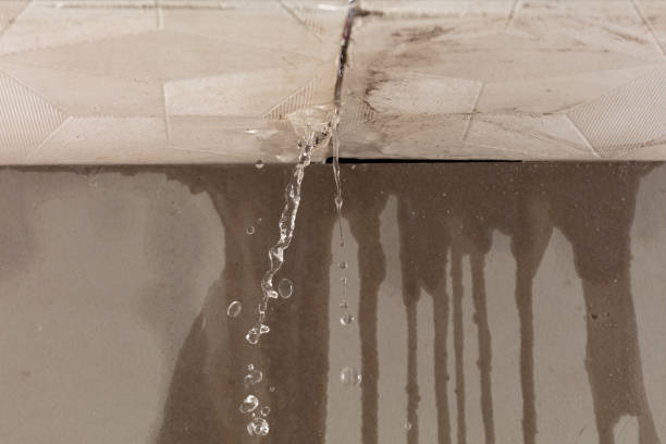 Professional Burst Pipe Cleanup technician working in Onalaska, WA